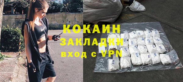 стаф Дмитровск