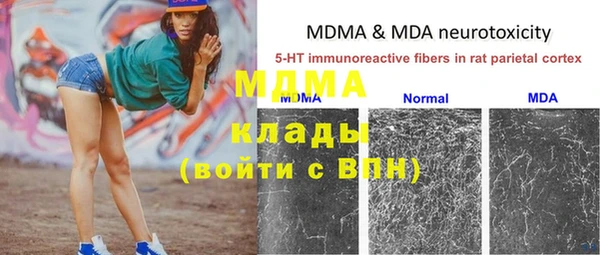 стаф Дмитровск