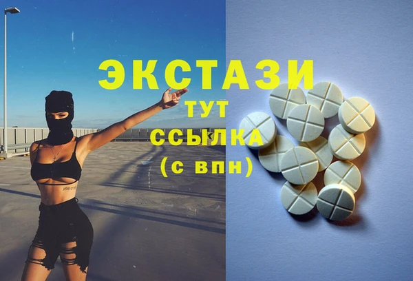 стаф Дмитровск