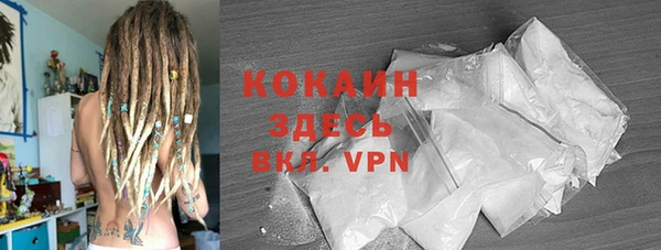 стаф Дмитровск