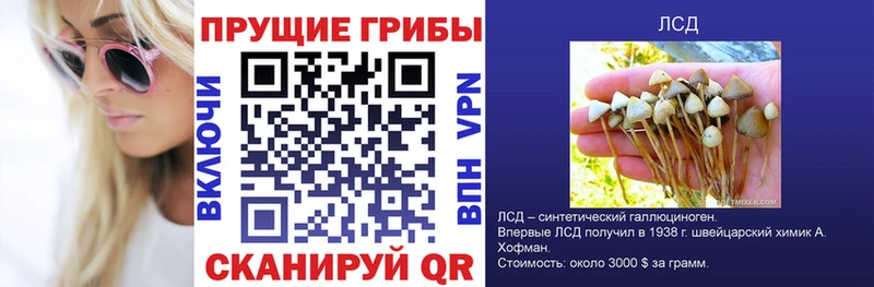 Псилоцибиновые грибы прущие грибы  Маркс 